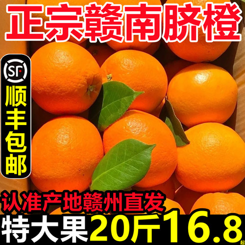 顺丰包邮！正宗江西赣州赣南脐橙