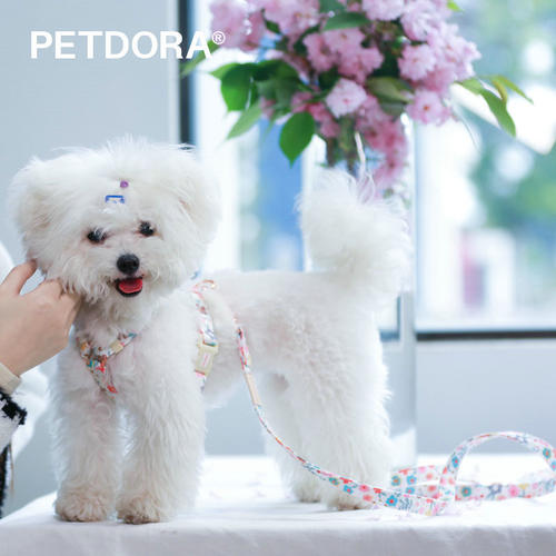 PETDORA小花狗牵引绳脖圈遛狗绳