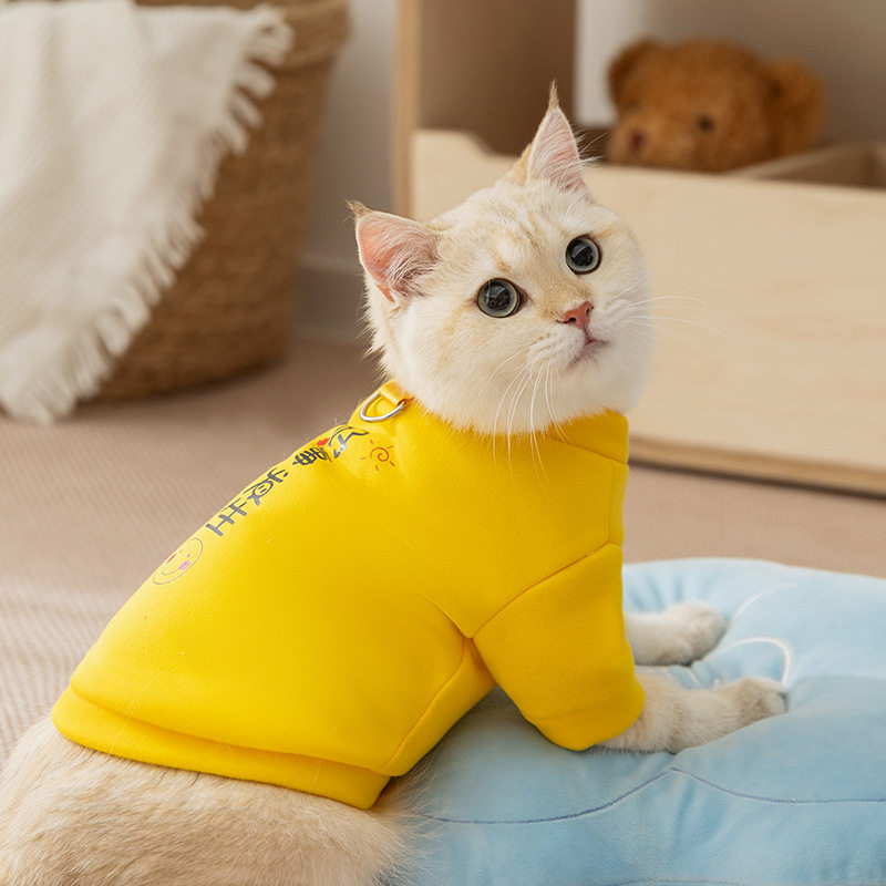 宠物衣服秋冬季好事发生黄色猫咪衣服德文猫两脚薄款卫衣猫猫