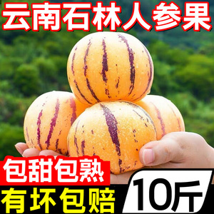 【云南石林人参果】官方旗舰店