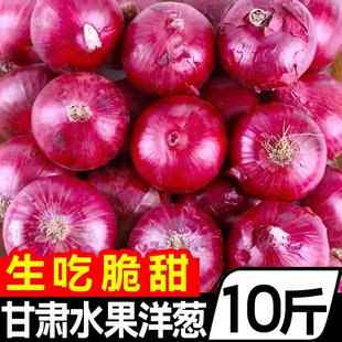 新鲜元 葱红皮大葱头现挖 甘肃特级水果大洋葱10斤紫皮圆葱蔬菜当季