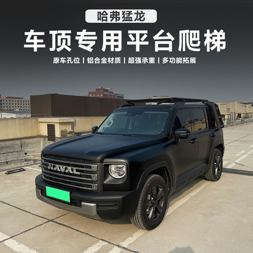 哈弗猛龙专车专用铝合金免打孔