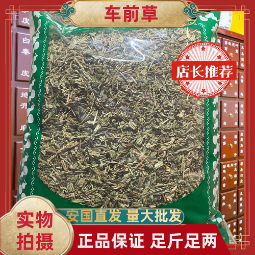 正品车前草中药材车前草野生无硫包邮安国中药材批发市场大全