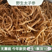 正品 太子参中药材太子参干货新货农家自采自晒安国中药材批发市场