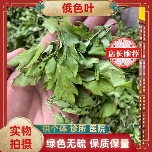 野生茶俄色叶茶 俄色叶 朵答塔 错觉石养生树枚曲 俄色叶中药材