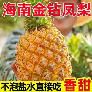 海南金钻凤梨新鲜水果树上熟芒果凤梨香水菠萝大果无眼整箱包邮