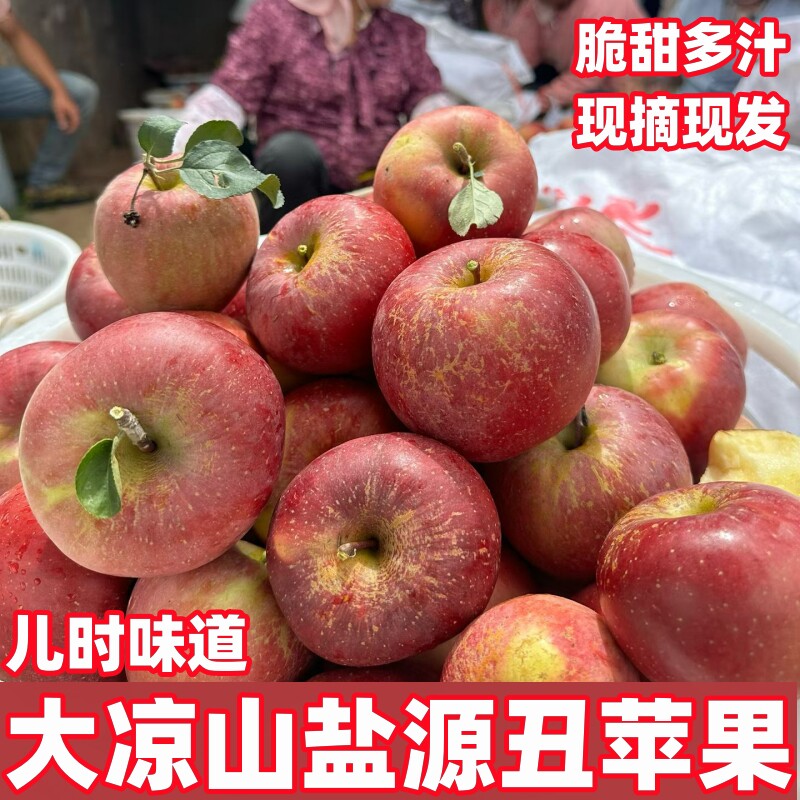 【村上自卖】四川大凉山丑苹果高山  高原新鲜现摘脆甜多汁