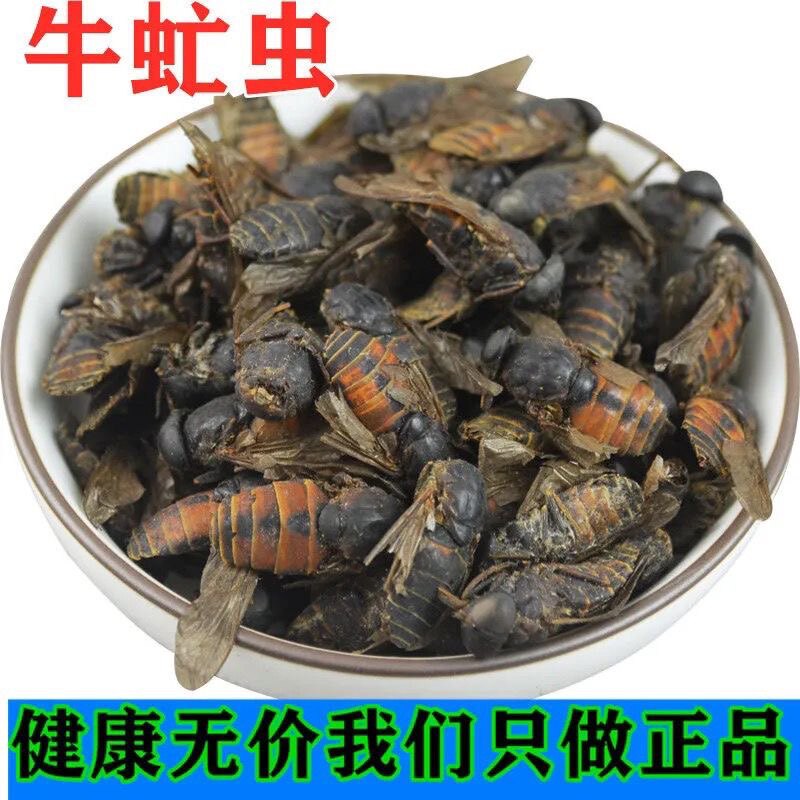 牛虻虫中药材牛虻虫正品牛虻虫蜚虻炒虻虫大牛虻免费打粉50克