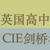 英国alevel初高中教材英语数学物理化学等8/9/10/11/12年级课程辅