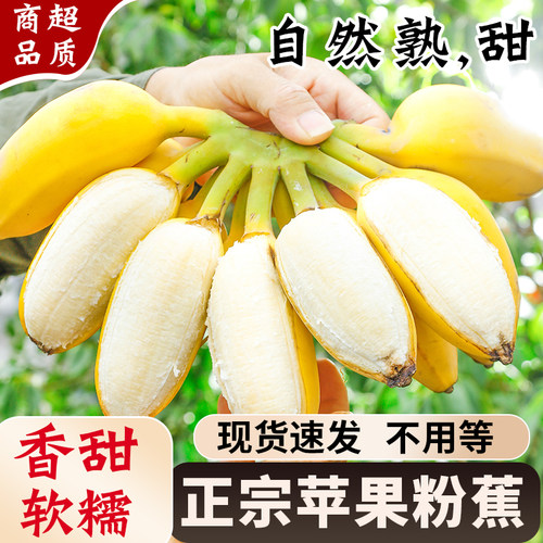 正宗苹果蕉粉糯香甜现货速发