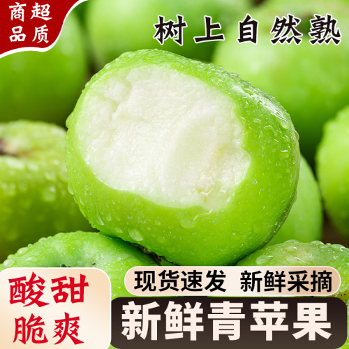 当季热销青苹果酸甜脆爽