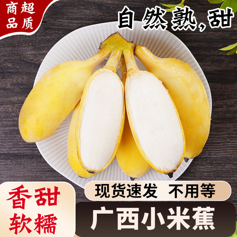 正宗广西小米蕉香蕉新鲜水果整箱当季小香蕉粉蕉自然熟苹果蕉香蕉