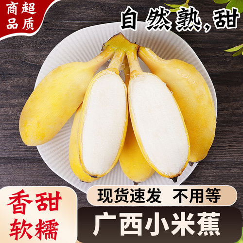 正宗广西小米蕉自然熟香甜新鲜