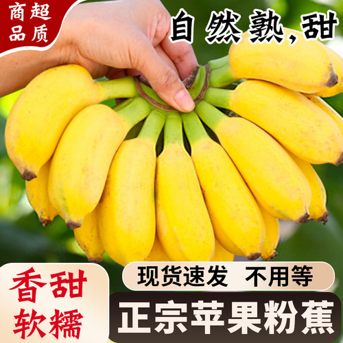 正宗苹果蕉自然熟香甜