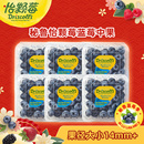详情页领优惠 Driscolls秘鲁怡颗莓进口蓝莓孕妇新鲜水果 包邮