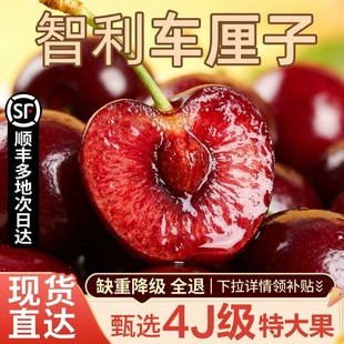 智利车厘子新鲜水果包邮5斤礼盒装可选当季孕妇进口大樱桃3j4jjjj
