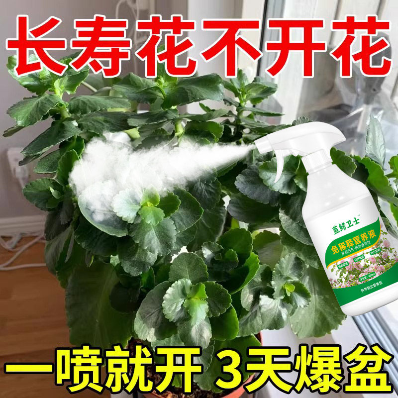长寿花专用肥料不开花专用花肥阳台养花长寿花催花促花专用营养液,农用物资,叶面肥,淘宝优惠券,粉丝福利购,淘宝优惠卷