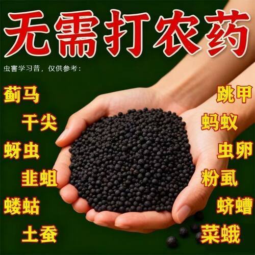 联苯噻虫胺颗粒剂地上地下虫害农药地老虎蜗牛金针虫蝼蛄黄条跳甲