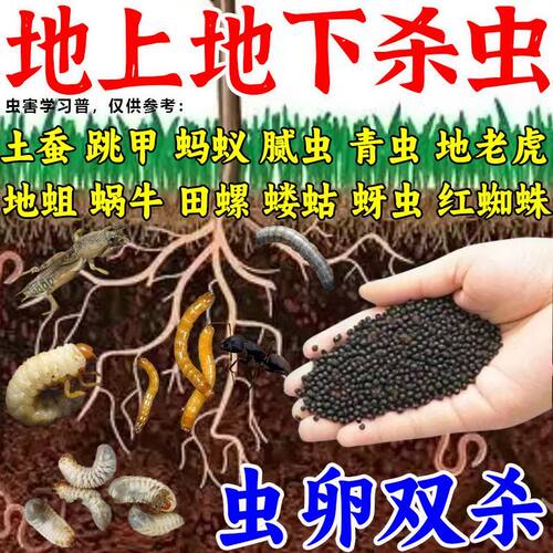 辛硫磷膦地下害虫专用萝卜白菜地老虎蝼蛄根结线蛆农药杀虫剂大全
