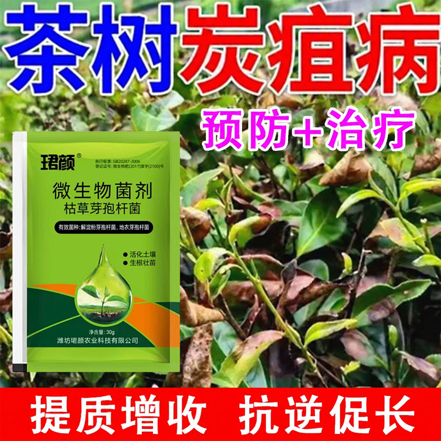 茶树芽枯病叶斑病杀菌剂病害专用茶树杀菌卷叶黄叶茶饼病黑星病用