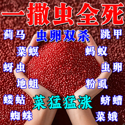 地上地下害虫撒施颗粒专用药