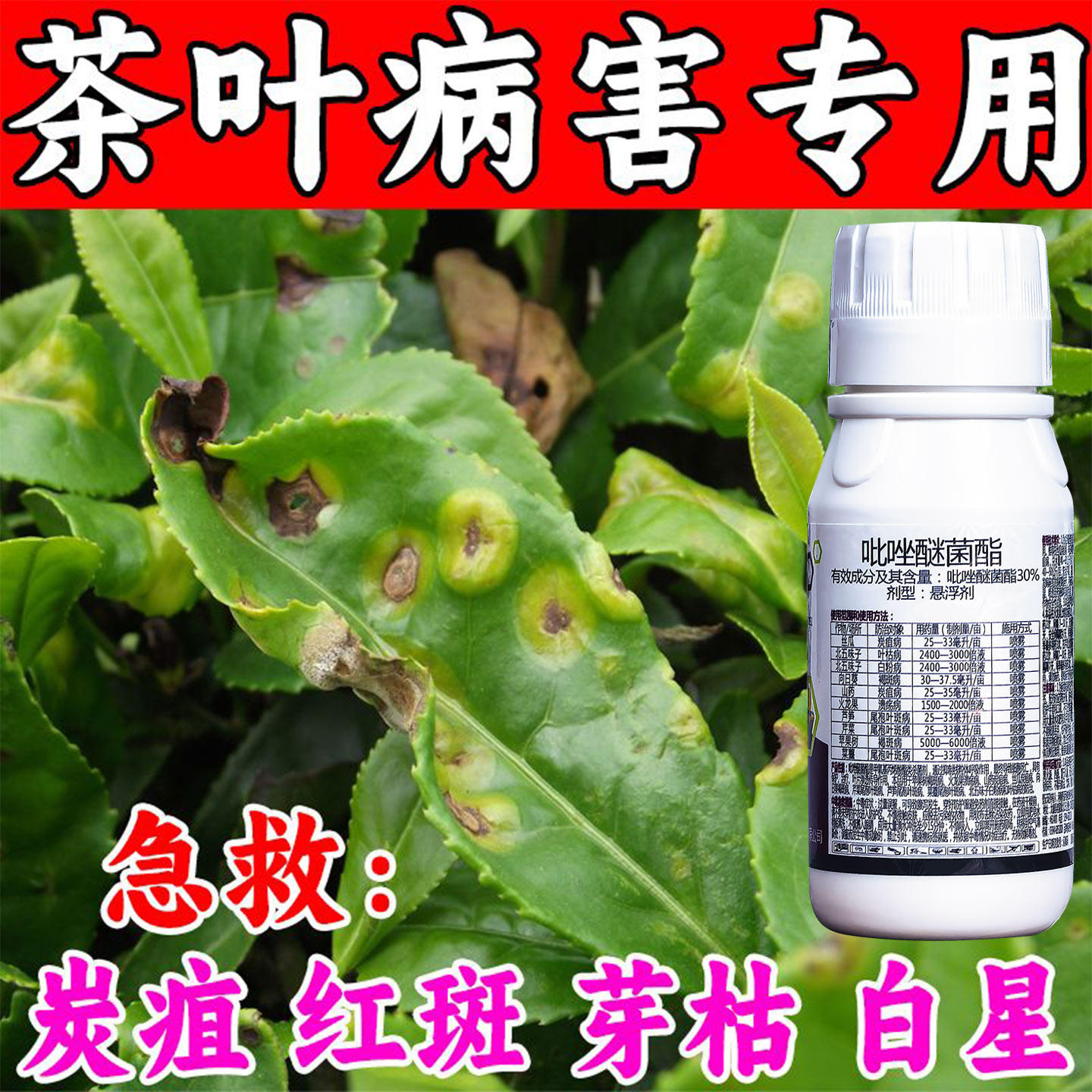 茶树病全治专用杀菌剂卷叶黄叶茶饼病黑星病芽枯叶斑病正品农用药