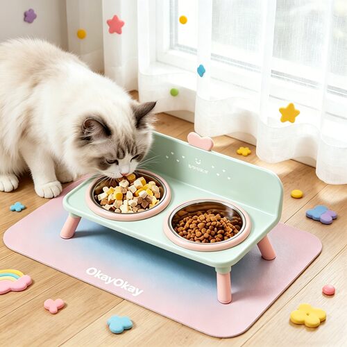 猫碗保护颈椎大口径不易