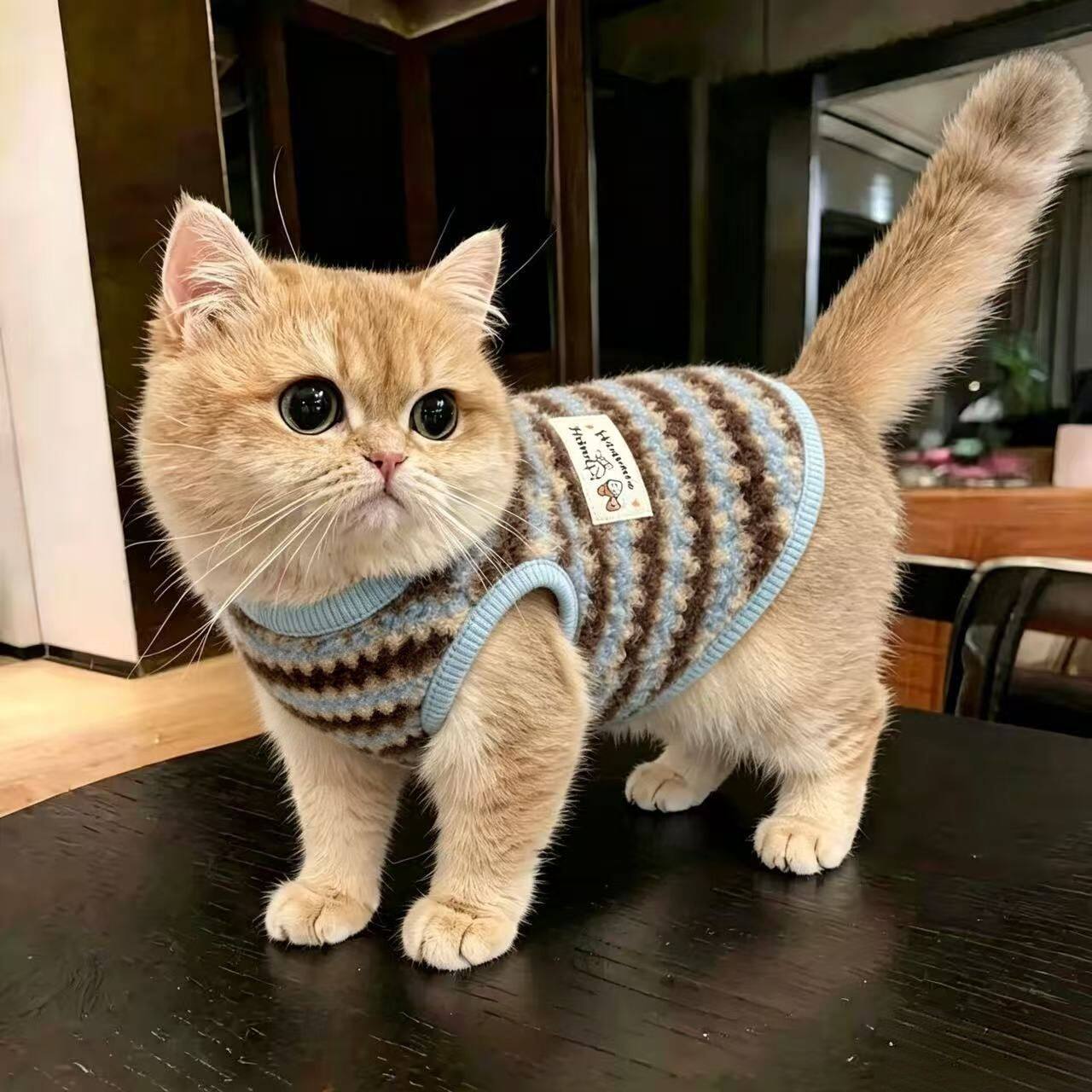 猫咪狗狗美拉德色系条纹