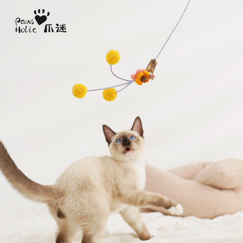PawsHolic爪迷逗猫棒可伸缩长杆