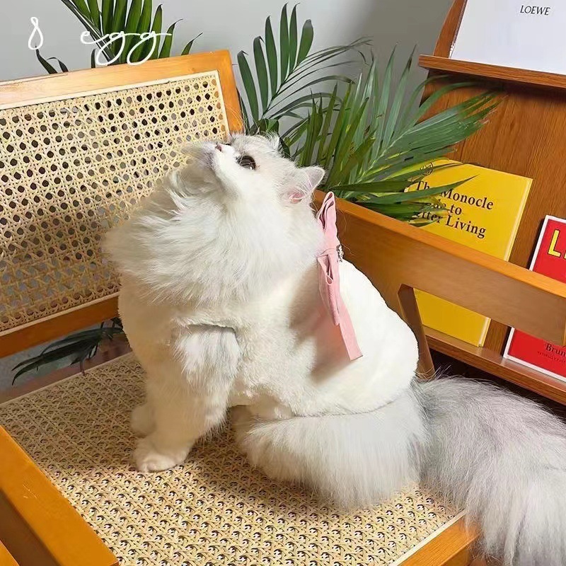 仿皮草大蝴蝶结宠物狗狗秋冬保暖棉马甲 泰迪约克夏比熊猫咪衣服