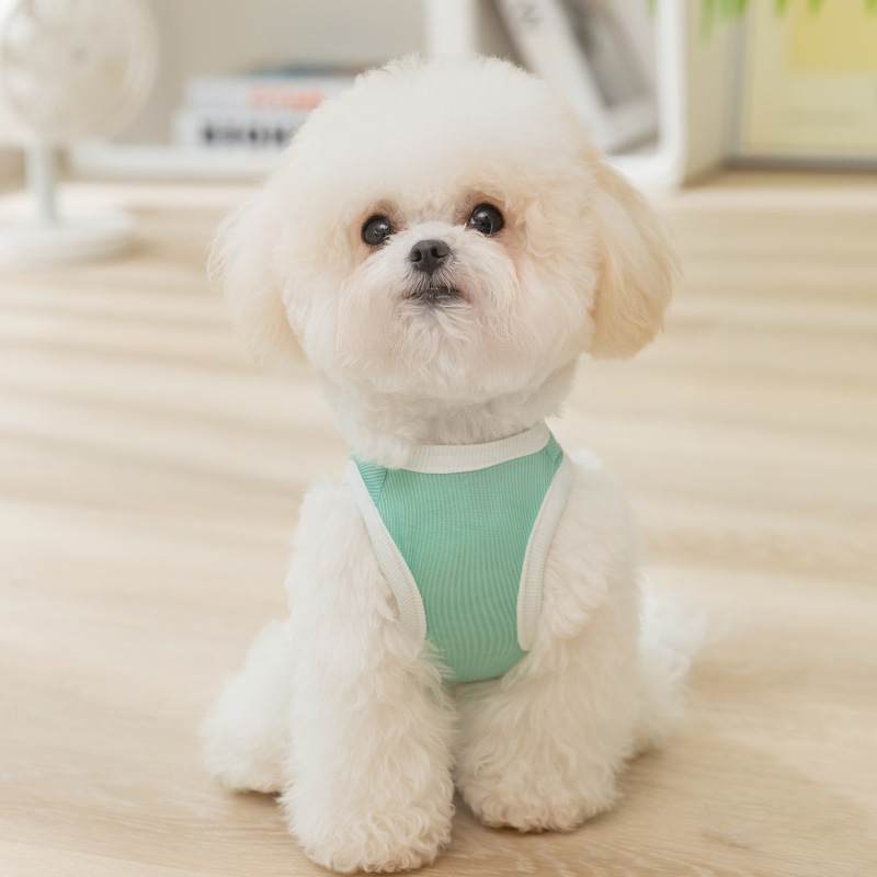 狗衣服春夏新款宠物服装奶狗中小型犬泰迪比熊华夫格小熊背心