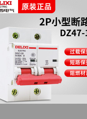 德力西DZ47-125大功率断路器家用空开2P 80A 100A125A空气开关D型