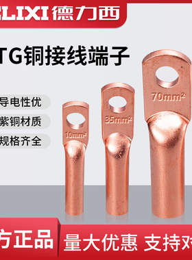 德力西紫铜DTG-240铜鼻子接线端子压线铜管电工铜线耳16/25平方