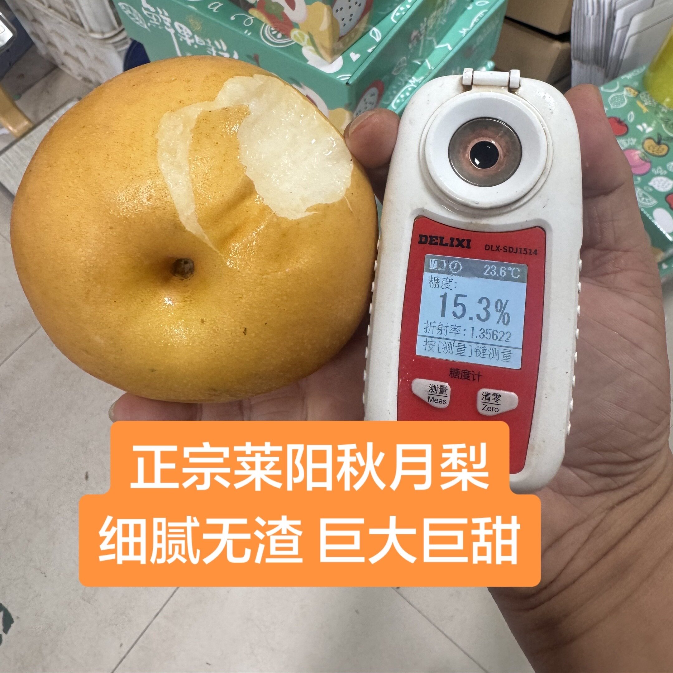 【莱阳老隋家秋月梨】每一颗都过筛果机 只发梨王 高糖 化渣好