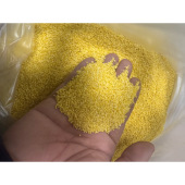 老隋家小米 村里老人收 很香 煮出来有米油 产量少