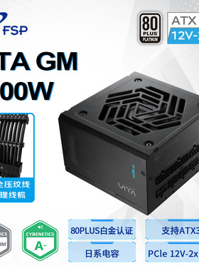 新版ATX3.1 FSP全汉电源VITAGM1000W白金牌全模组电源Pcle5.1接口