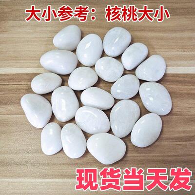 石子白石子小白石头大鹅卵石50斤装庭院铺地白色石子造景铺路景观