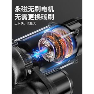 高扬程直流潜水泵12V24V48V60V伏家用电瓶车抽水泵农用灌溉抽水机