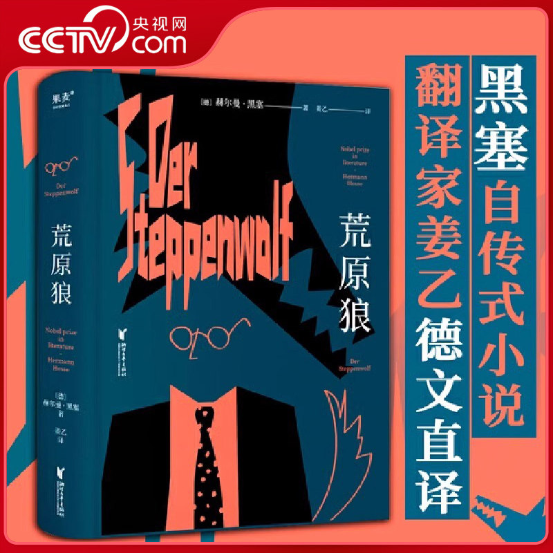 【央视网】荒原狼 诺贝尔文学奖得主黑塞自传式小说 悉达多译者姜乙