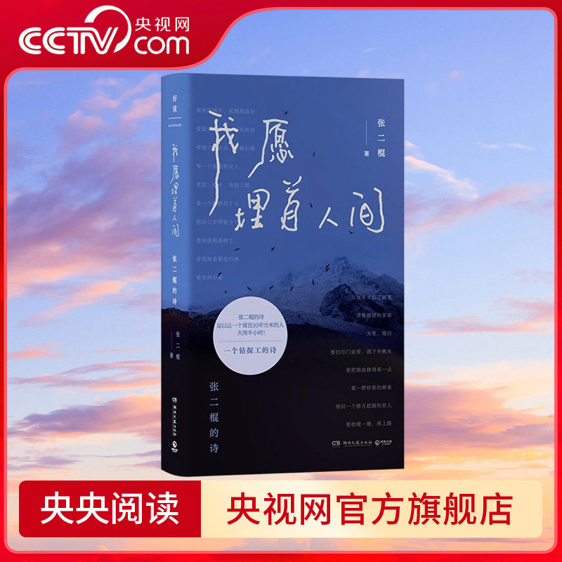 【央视网】我愿埋首人间 张二棍的诗 基层人民的苦难困顿绝望 献给每一个在现实生活中摸爬滚打的人TJ