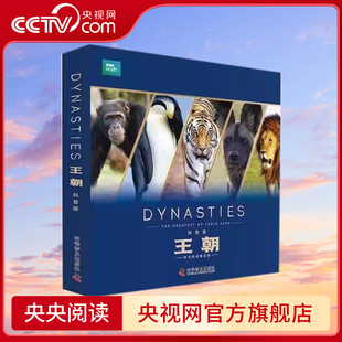 丰富人生想象 兴趣ZK 少儿科普版 美丽世界 深化对世界 让孩子看到一个丰富有趣 BBC王朝 全5册 产生探索世界 情感 央视网