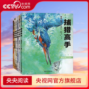 解锁动物生存密码 央视网