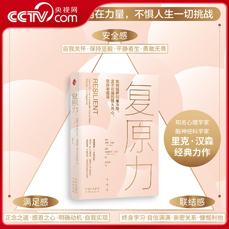 【央视网】复原力 复原力书 美国神经心理学家里克汉森博士的畅销作品 心理学正念训练神经科学 提升内在复原力自我关怀心理学SS