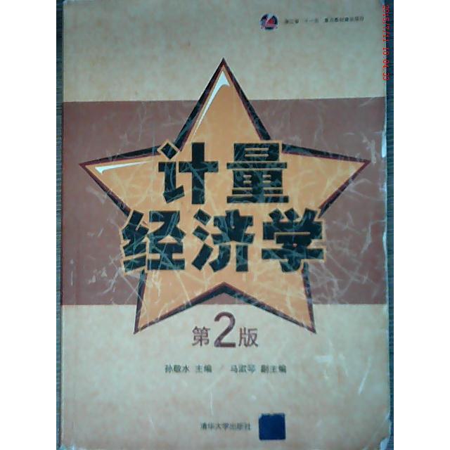 正版/计量经济学（D2版）9787302204756