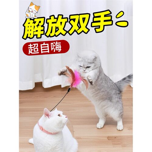 项圈逗猫棒猫玩具自嗨猫