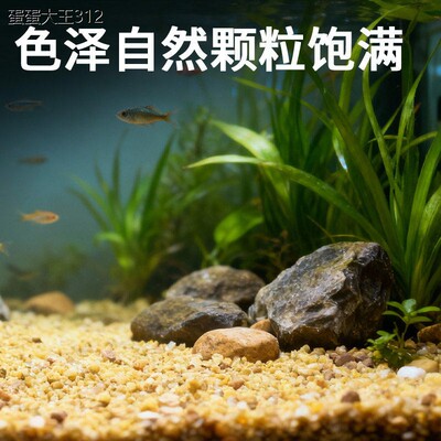 鱼缸景装然原生流沙族箱
