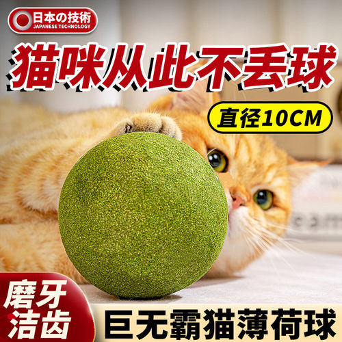 超大猫薄荷球猫玩具自嗨