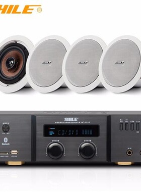 狮乐BX-205/AV-8820定阻同轴吸顶喇叭套装会议室超市背景音乐音响