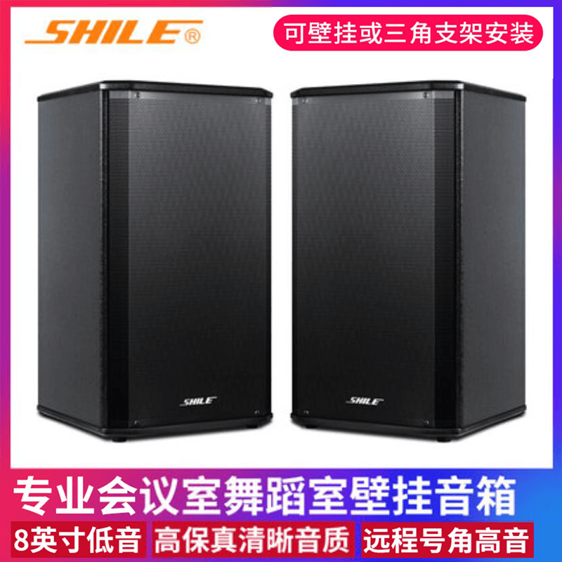 SHILE/狮乐 BX-108壁挂8英寸店铺背景音乐酒店培训室教室无源音箱