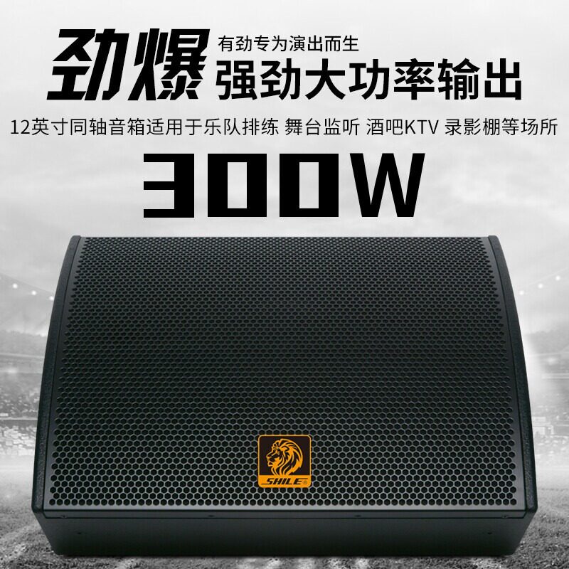 狮乐FT-12返听无源音箱12英寸同轴喇叭300W舞台监听酒吧KTV棚